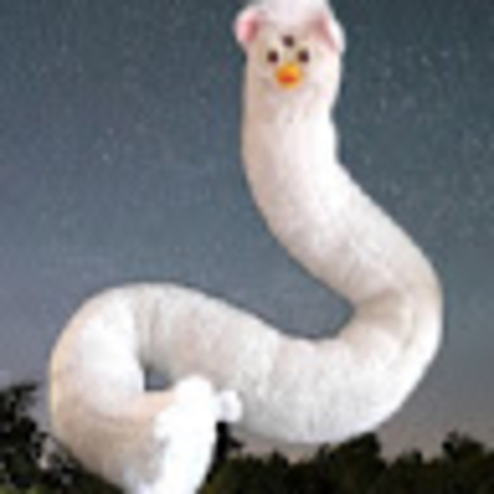 Meet your Posher, Mags